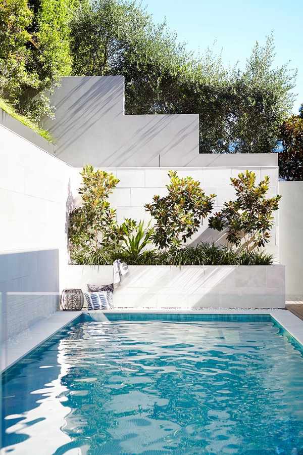 plunge pool backyard