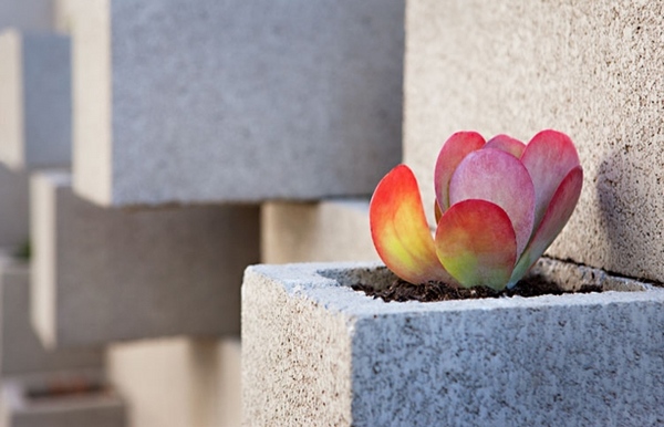 cinder-block-garden-ideas-DIY-wall-ideas-succulent-planter