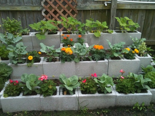 Cinder-block-garden-ideas-DIY-cinder-block-raised-garden-beds-ideas 