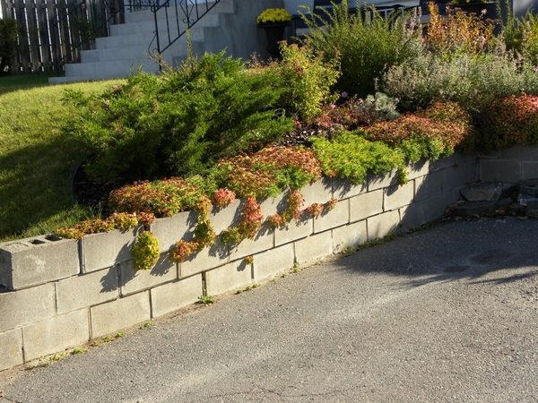 Cinder block garden ideas - furniture, planters, walls and ...