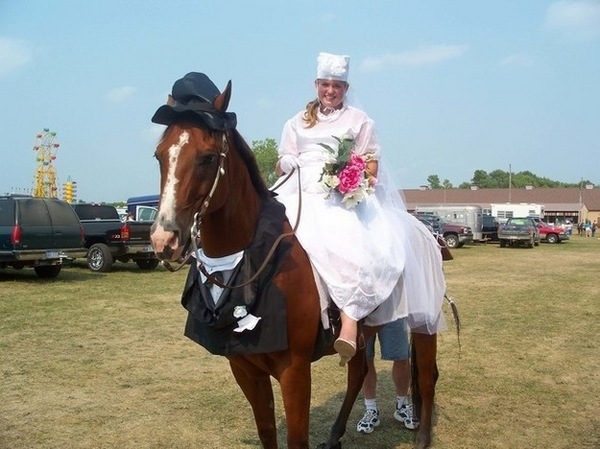 Halloween-costumes-for-horses-and-rider-bride-groom