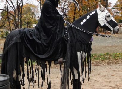 Halloween-costumes-for-horses-DIY-ideas-creative-Haloween-costume-ideas