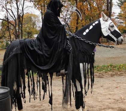 Halloween-costumes-for-horses-DIY-ideas-creative-Haloween-costume-ideas