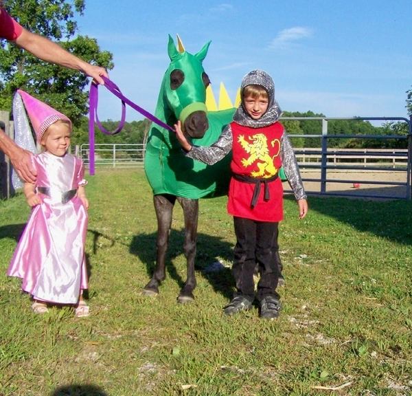 Halloween-costumes-for-horses-and-kids-knight 