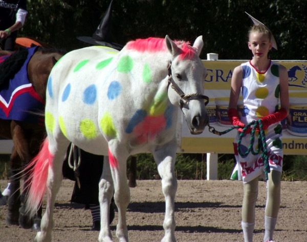 Halloween-costumes-for-horses-and-rider-polka-dots