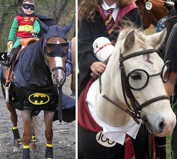 Halloween-costumes-for-horses-batman-costume-harry-potter 