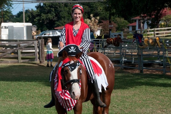 Halloween-costumes-for-horses-cool-horse-costumes-for-halloween 