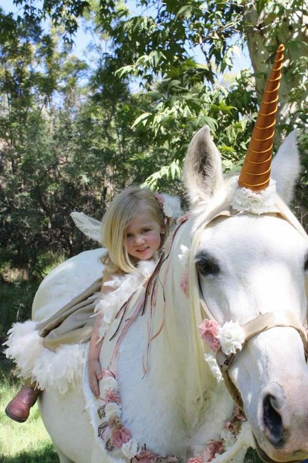 Halloween-costumes-for-horses-unicorn-fairy 