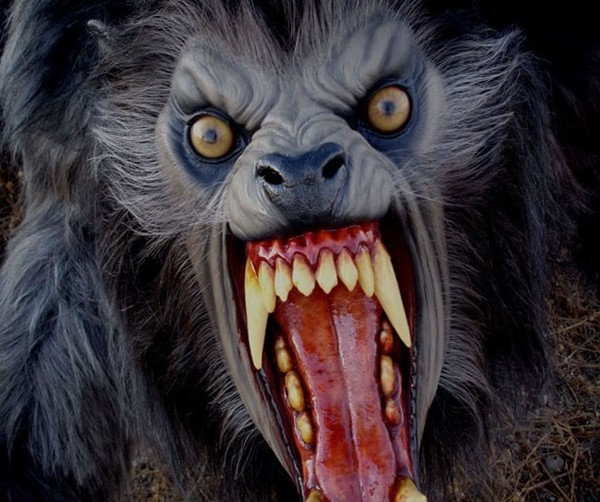 Realistic-Halloween-masks-ideas-werewolf-scary-halloween-costumes-masks