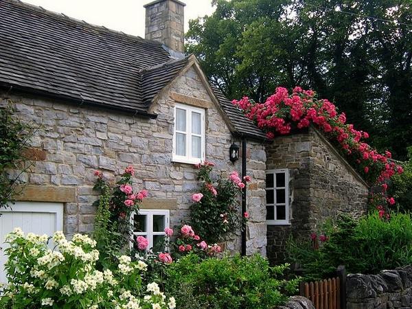 cottage gardens ideas climbing roses awesome design