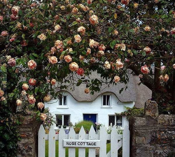  dream cottage gardens stone fence wooden gate