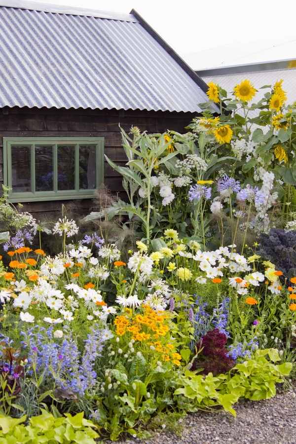 plants for cottage gardens rustic garden