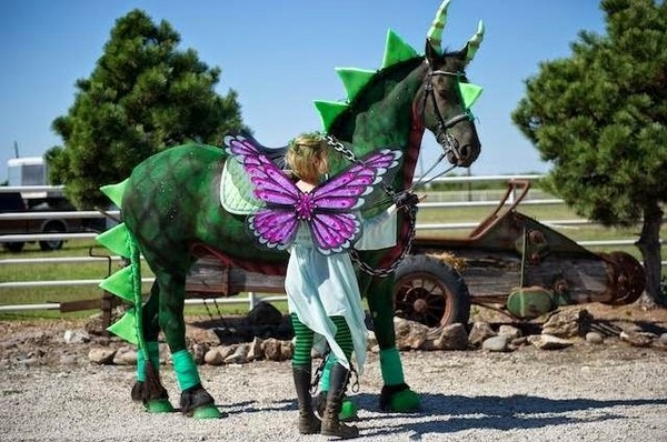 creative-Halloween-costumes-for-horses-and-rider-fairy-dragon