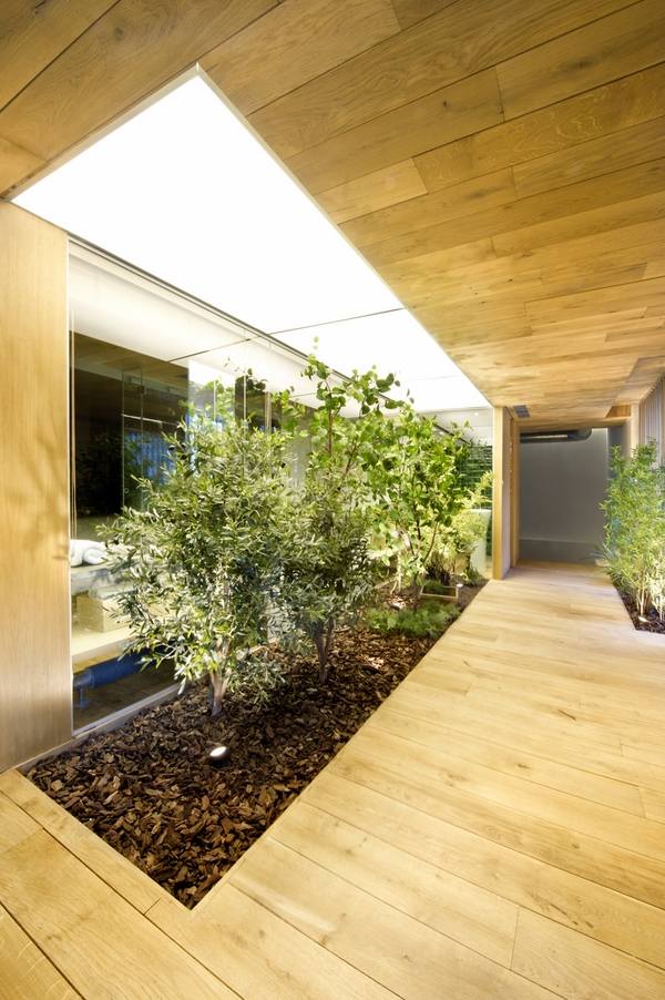 interior-garden-design-ideas-modern home skylight