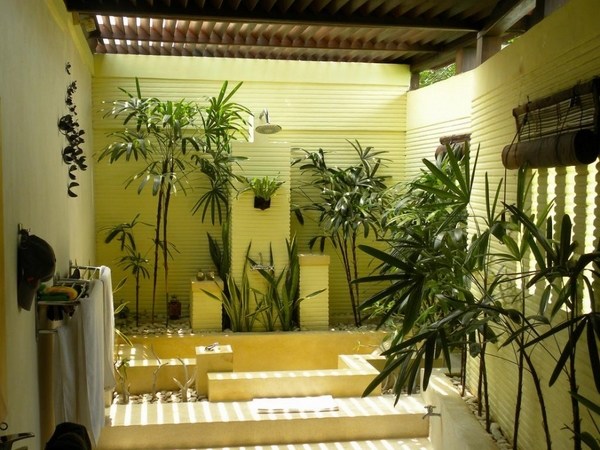 interior gardens bamboo trees home decorating