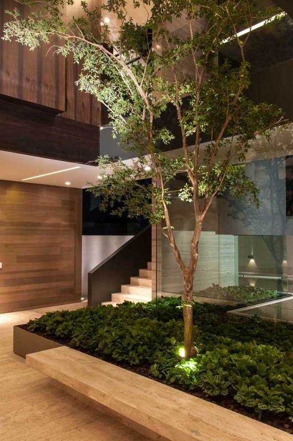 interior-gardens-indoor-garden-ideas-accent-lighting 