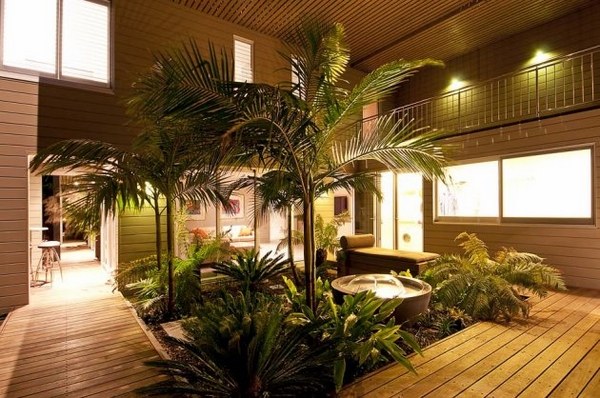 interior-gardens-modern home ideas palm tree wooden deck