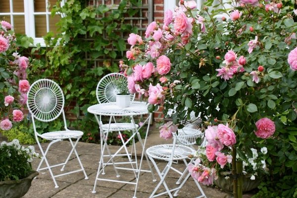 romantic cottage garden design ideas rose shrubs metal furniture