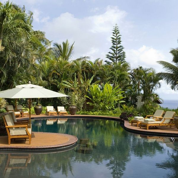 exotic-pools-landscaping pool privacy tropical decor