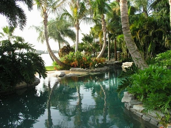 tropical-pools-ideas-exotic landscape pool decor
