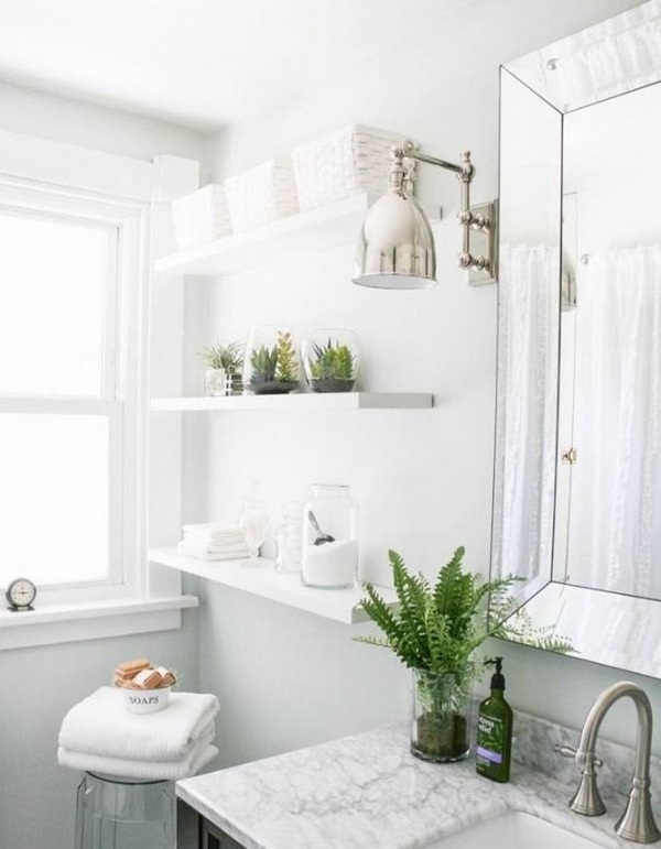 Best plants for bathrooms \u2013 20 indoor plants for the bathroom