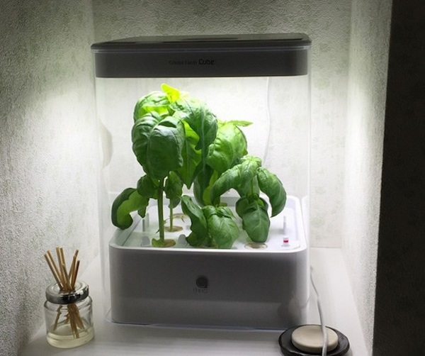 Cube hydroponic box mini herb garden