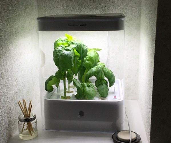 Cube-hydroponic-grow-box-mini-herb-garden-ideas-grow-cabinets-ideas