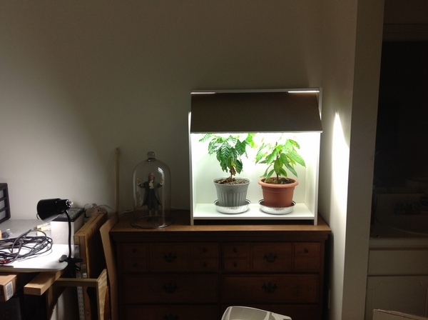 DIY cabinet indoor gardening box