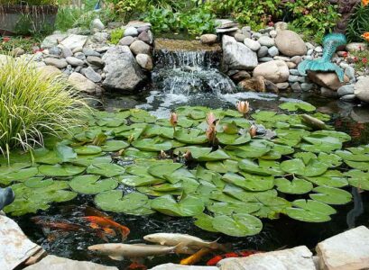 DIY-pond-filter-garden-design-garden-decorating-ideas-joi-pond-water-lilies