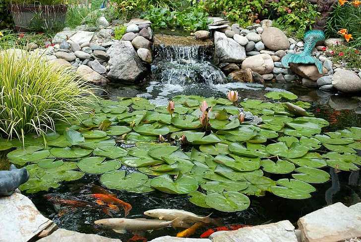DIY filter garden design garden decorating ideas koi pond