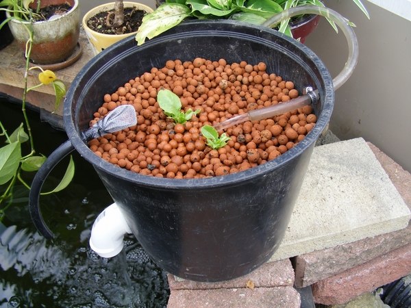 DIY-pond-filter-ideas-garden-water-features