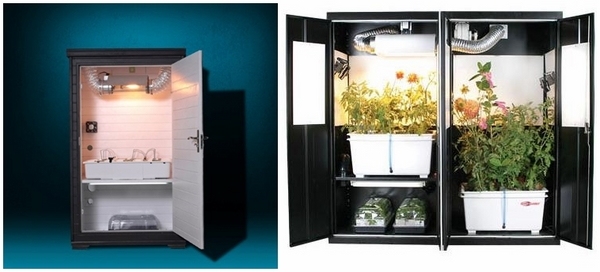 Hydroponic grow cabinet ideas indoor garden 
