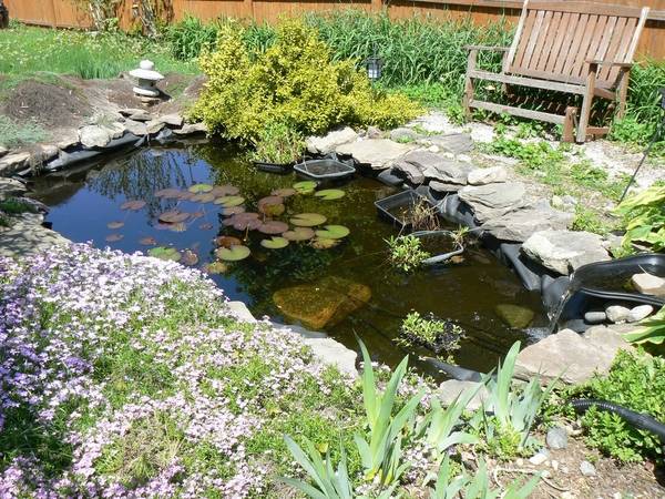 backyard-water-feature-garden-pond