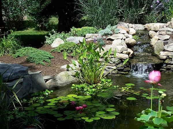 garden pond design ideas waterfall