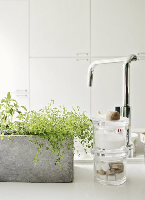 list live plants in bathroom ideas 