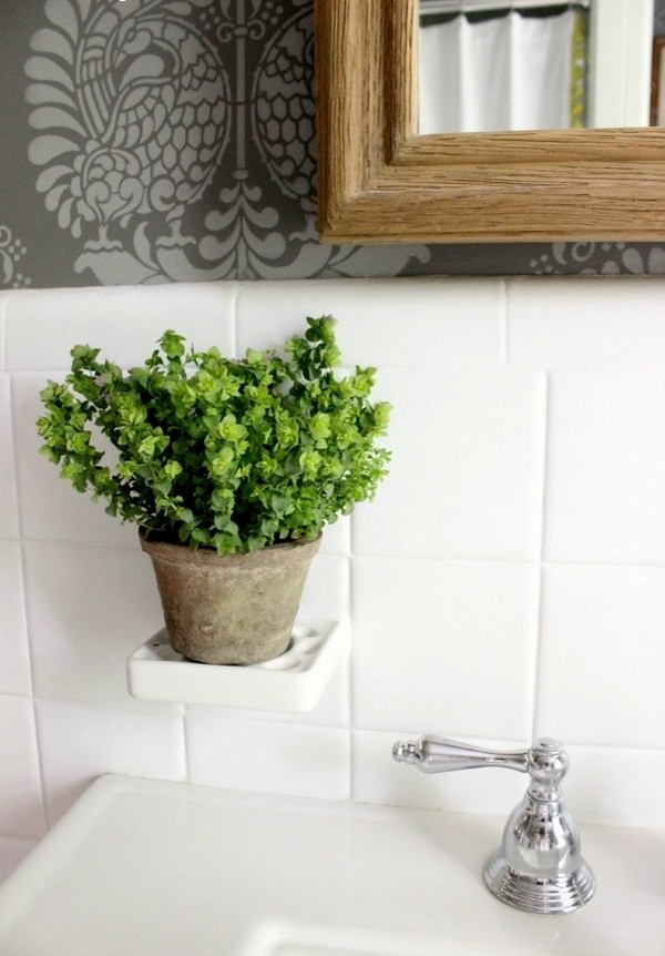 good-plants for bathrooms design decor