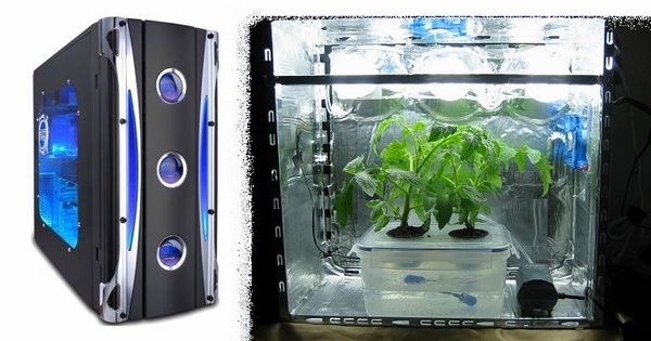 cabinets ideas indoor garden ideas hydroponic gardening
