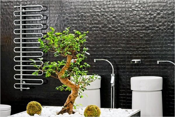house plants for bathrooms bonsai tree modern bathroom decor