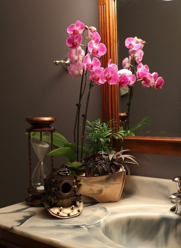 plants for bathrooms orchids houseplants decor