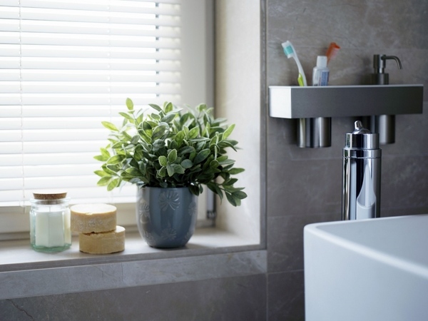 Best plants  for bathrooms  20 indoor  plants  for the bathroom 