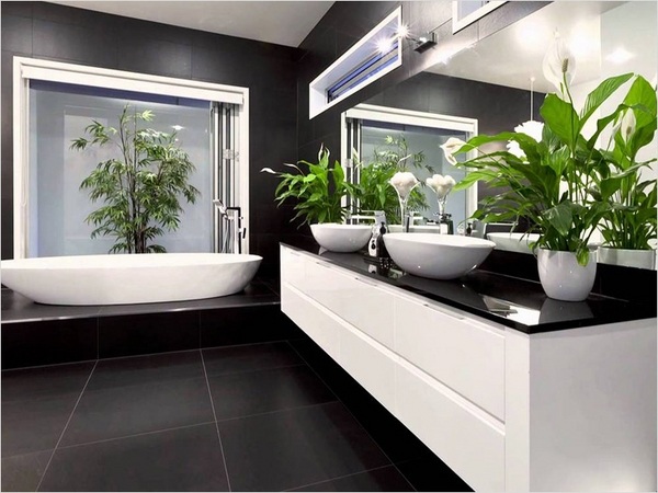 plants for bathrooms spatifillum contemporary 