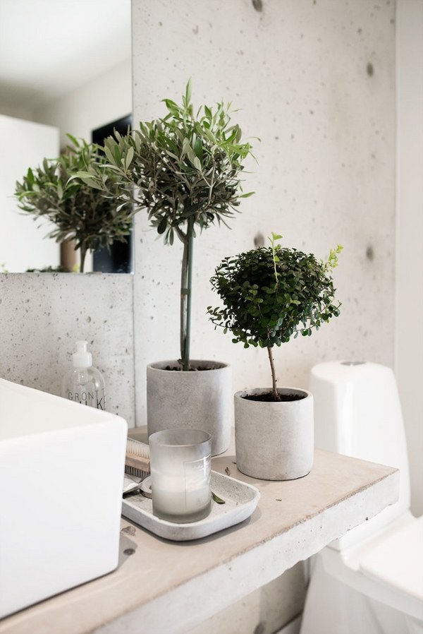 plants for bathrooms topiary 