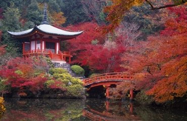 plants-for-japanese-garden-japanese-garden-autumn-leaf-beautiful-bridge-japanese-garden-bridge