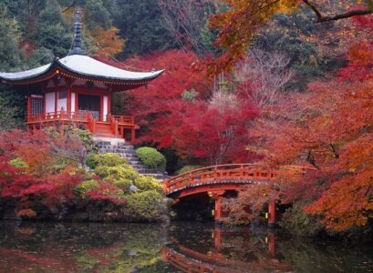 plants-for-japanese-garden-japanese-garden-autumn-leaf-beautiful-bridge-japanese-garden-bridge