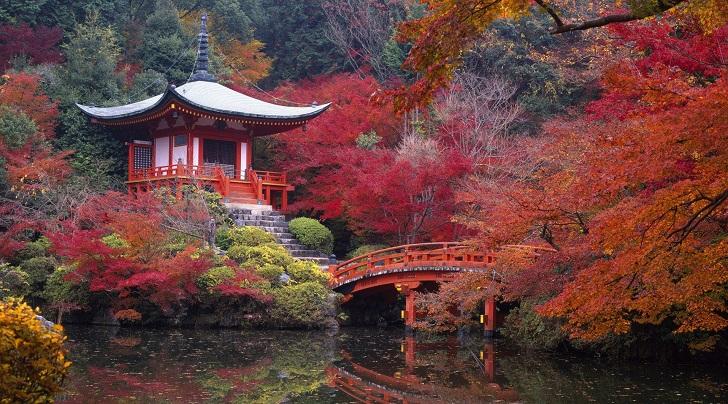 plants for japanese garden autumn leaf beautiful bridge 