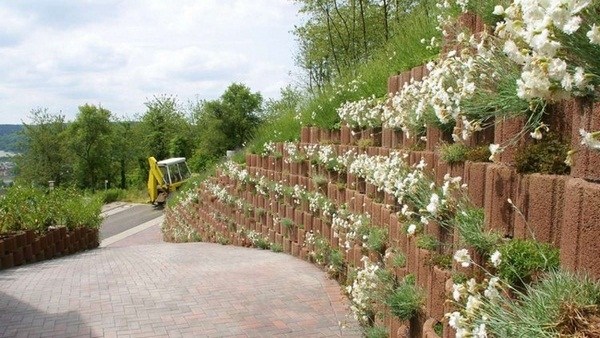 Flower Garden Retaining Wall - Nature HD Wallpaper