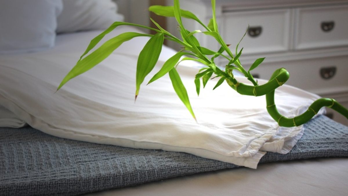 Softest Sheets in the World 100% BAMBOO Sheet Set by Fiber Element White 
