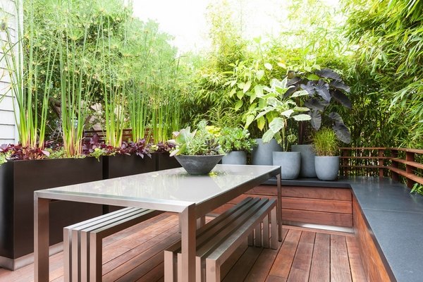 Best Screening Plants  Plants To Protect Your Privacy Outdoors - Best Plants To Create Privacy On Balcony