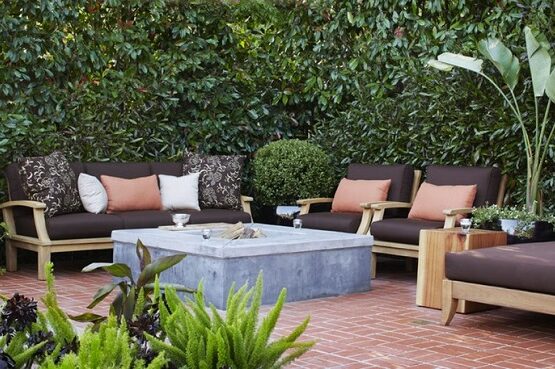 screening-plants-privacy-hedge-ideas-patio-privacy-ideas-patio-furniture