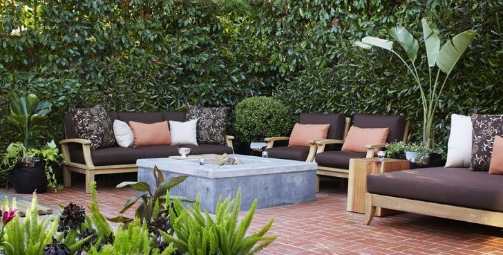 Best Screening Plants 20 To, Patio Privacy Plants